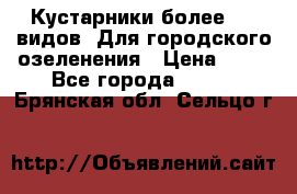 Кустарники более 100 видов. Для городского озеленения › Цена ­ 70 - Все города  »    . Брянская обл.,Сельцо г.